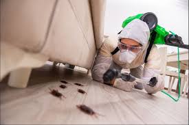 pest control services