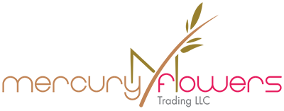Mercuryflowers Trading LLC