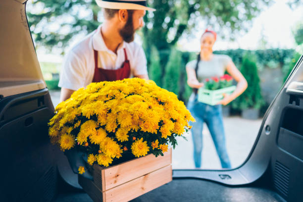 flower shop