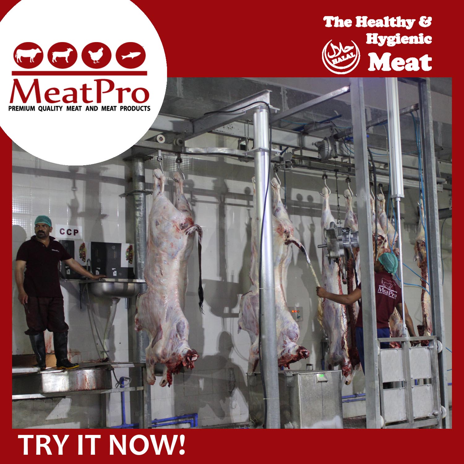 Hilal Meat Processing PVT LTD