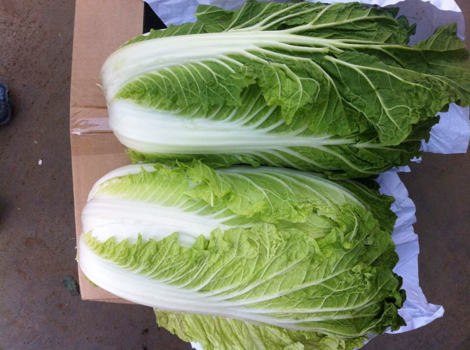 Weifang Everfresh AgriculTure Co.,L