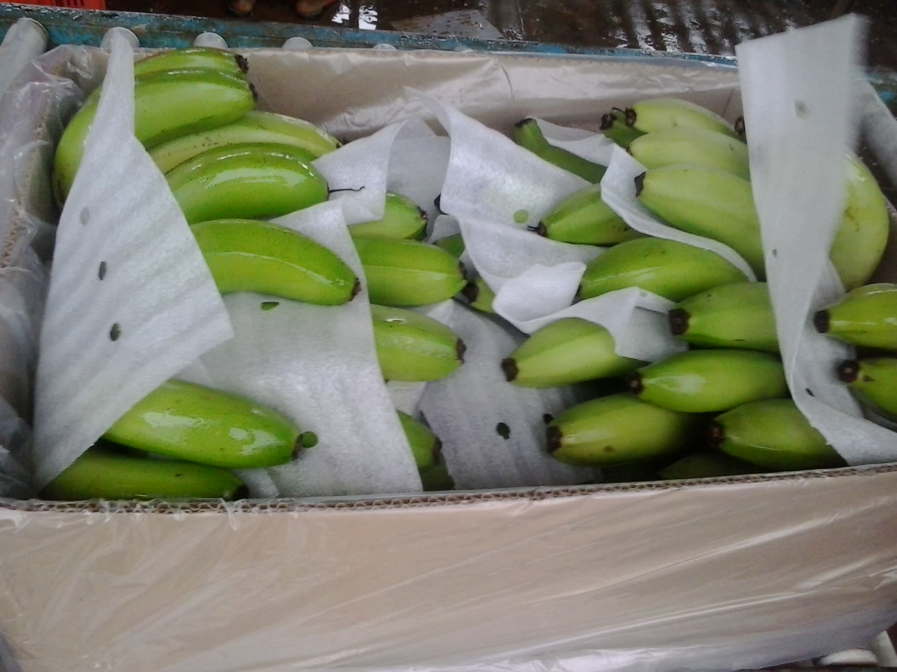 SRI PARVATHI EXPORTS