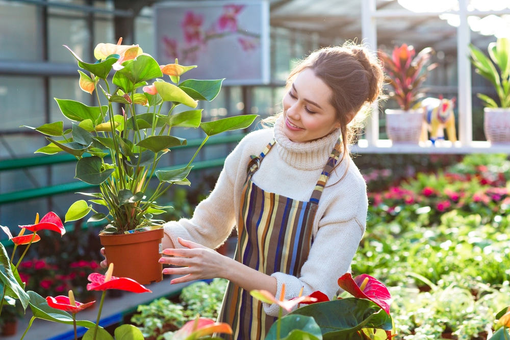 Gardener Dubai Provides Best Services