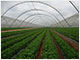 SONA AGROTEX PVT LTD