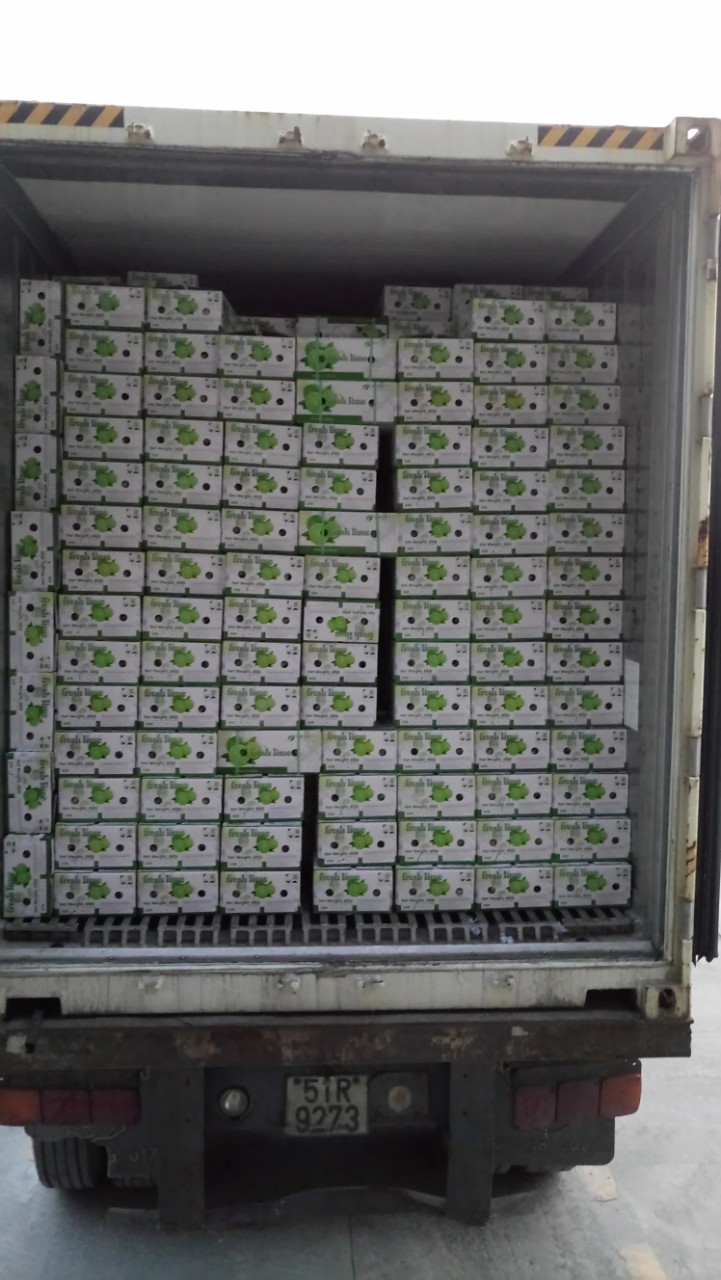 VietHope Fruit JSC