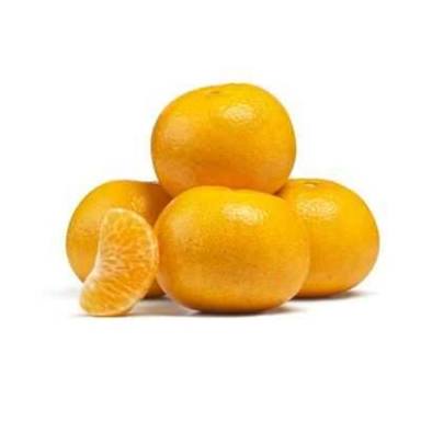 Citrus Asia Enterprises