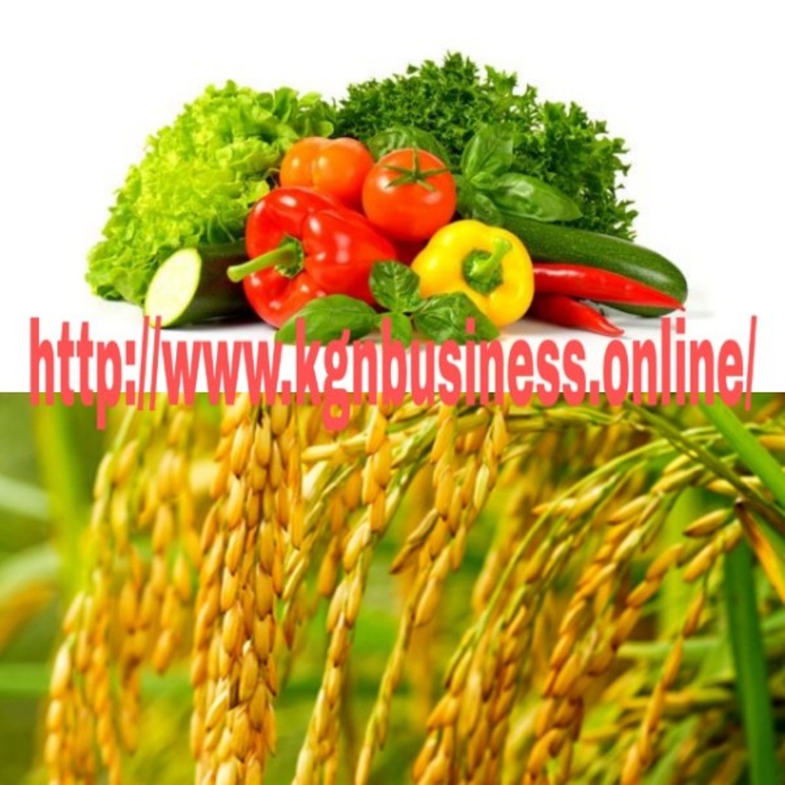 KGN BUSINESS SOLUTION