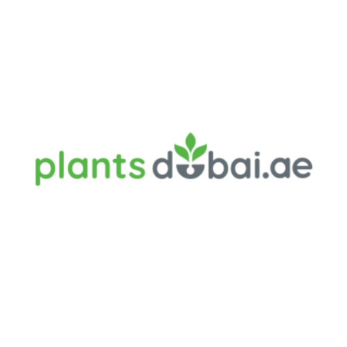 Plants Dubai